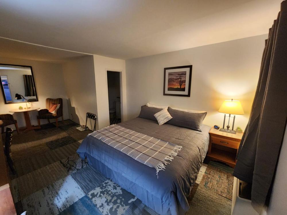 Deluxe King Suite interior